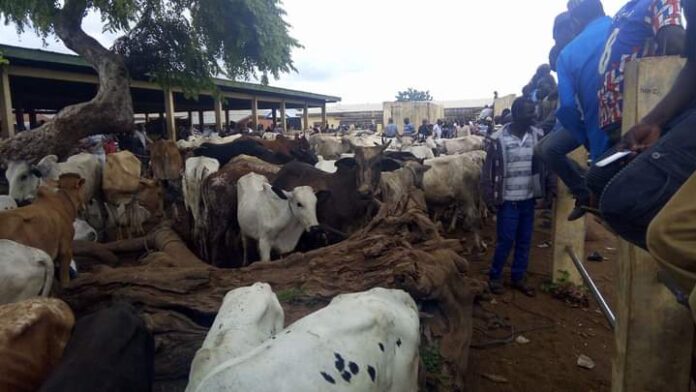 CATTLE MARKET